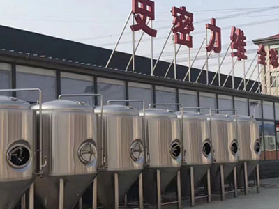 青铜峡精酿啤酒设备厂—如何判断精酿啤酒设备的密封件需要更换？